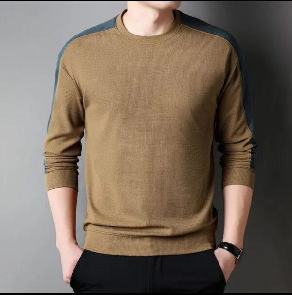Premium Cotton full sleeve Tshirts For Men